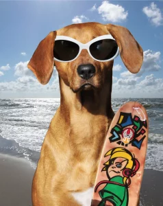vacaciones con perro